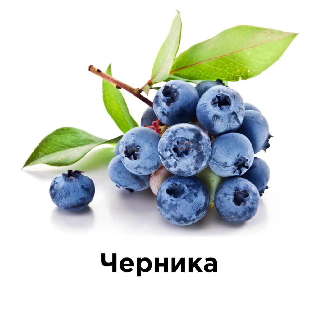 Черника.png